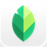 Snapseed 应用图标